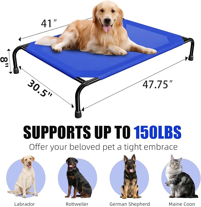 Simple Trending Raised Dog Bed for Large Dogs, Waterproof XL Dog Cot, Outdoor - Image 6