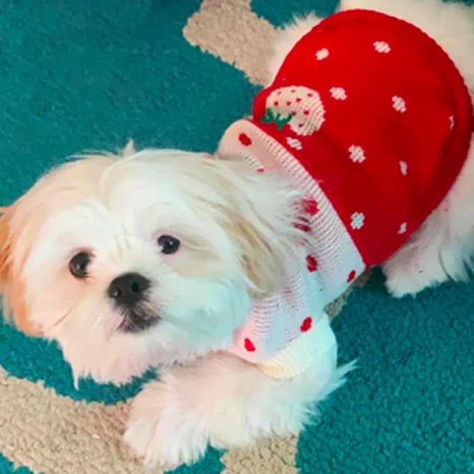 CHBORCHICEN Pet Dog Sweaters Classic Knitwear Turtleneck Winter Warm Puppy - Image 2