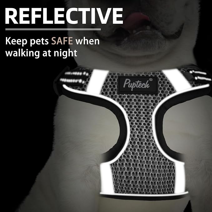 PUPTECK Dog Harness and Leash Set Medium Sized, Step in No Pull Adjustable - Image 4