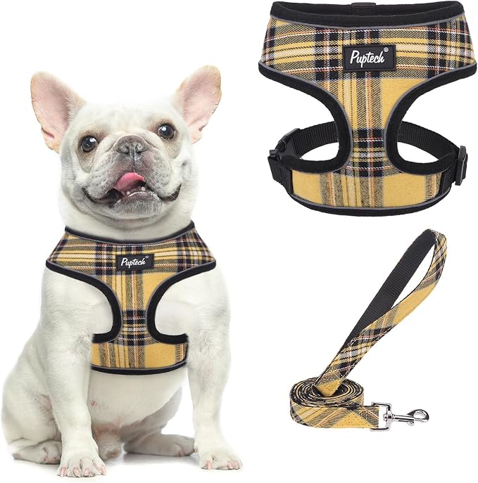 PUPTECK Soft Mesh Dog Harness and Leash Set Pet Puppy Cat Comfort Padded Vest by PUPTECK