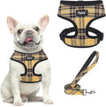 PUPTECK Soft Mesh Dog Harness and Leash Set Pet Puppy Cat Comfort Padded Vest by PUPTECK