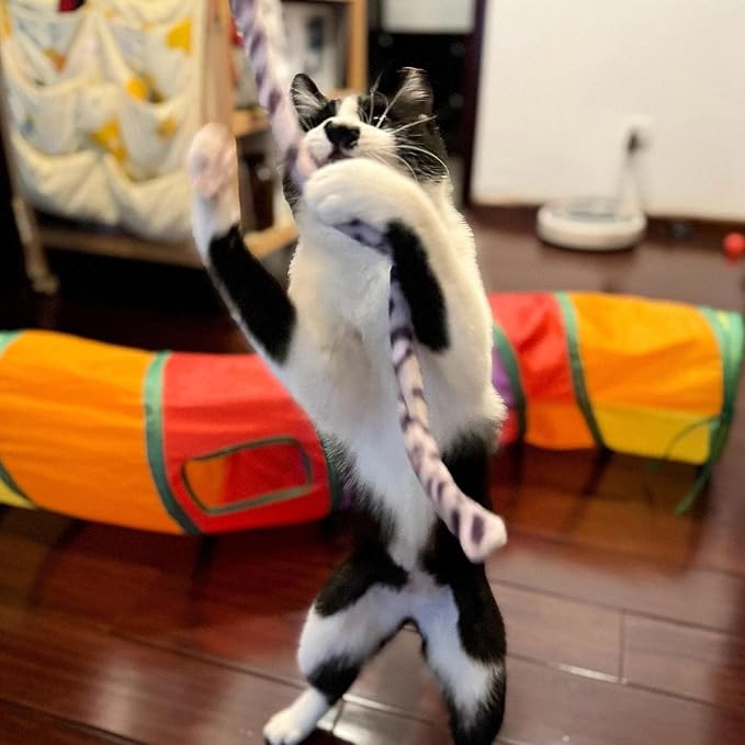 3 PCS Cat Wands, Soft Plush Srtip Kitten Wands Interactive Kitten Toys Cute - Image 5