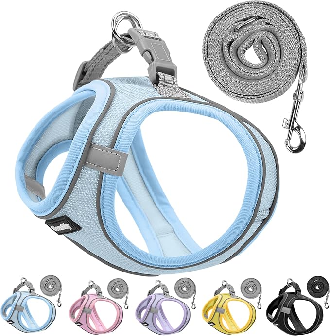 Sparkly Dog Harness Small Sized and Leash Set by Unknown