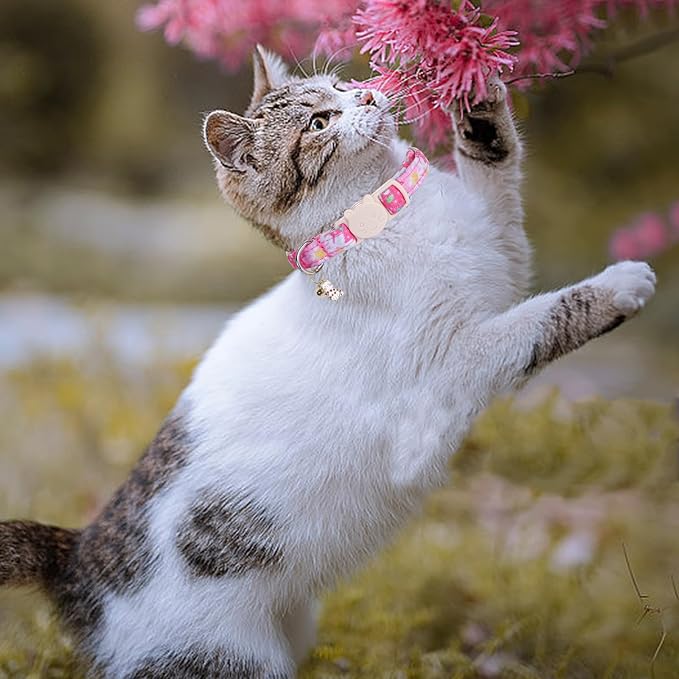 Elegant little tail 2 Pack Cat Collar-Pink Floral Print Cotton Breakaway Cat - Image 5
