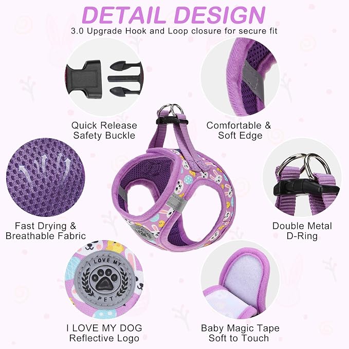 BEAUTYZOO Easter Dog Harness and Leash Set, Step in No Choke No Pull Soft Mesh - Image 2