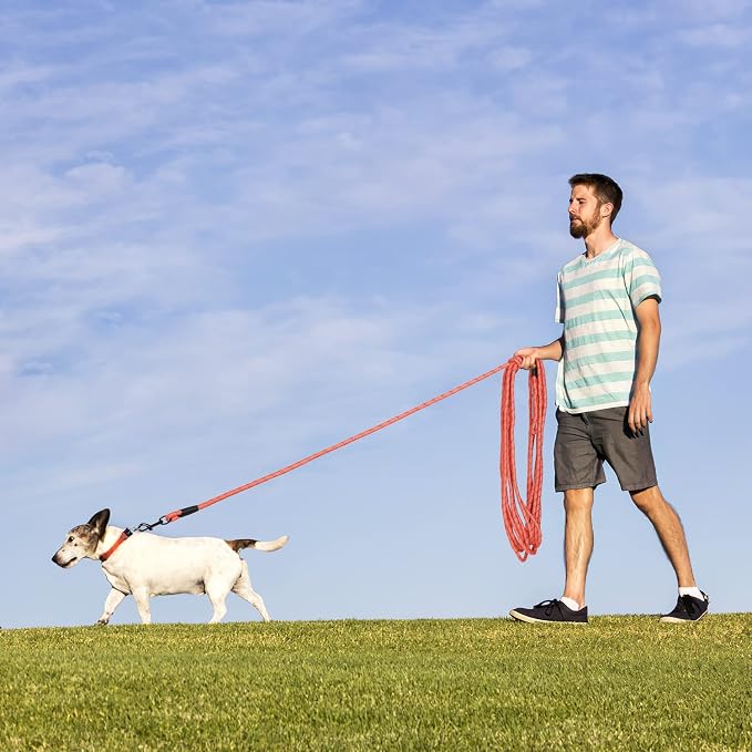 Long Dog Leash for Training 30Ft-Reflective Nylon Rope - Image 6