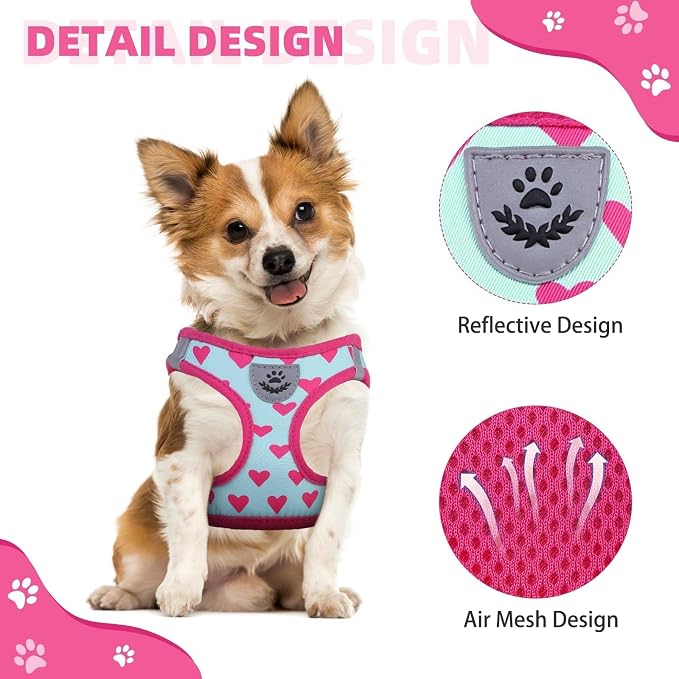 KOOLTAIL Valentines Dog Harness and Leash Set - Image 4