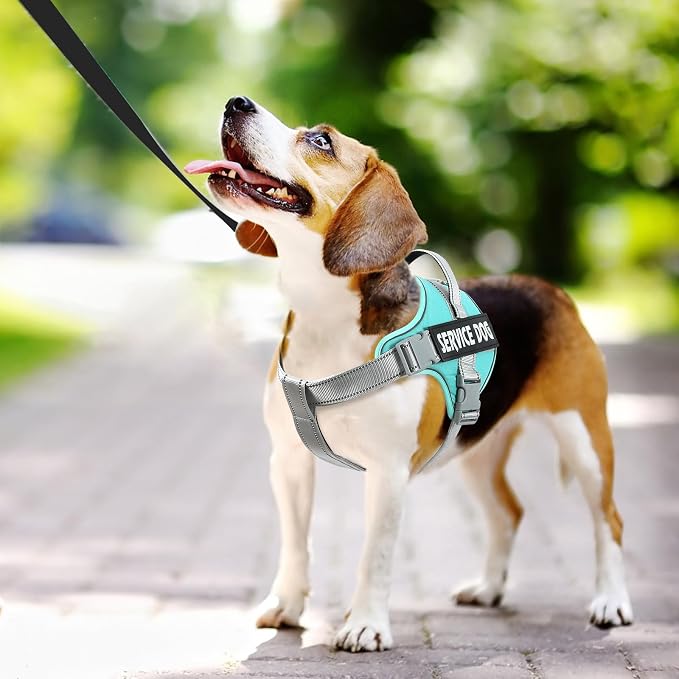 voopet Emotional Support Dog Harness, Professional Service Dog Vest Harness - Image 3