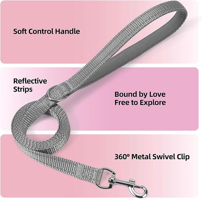 Sparkly Dog Harness Small Sized and Leash Set - Image 3