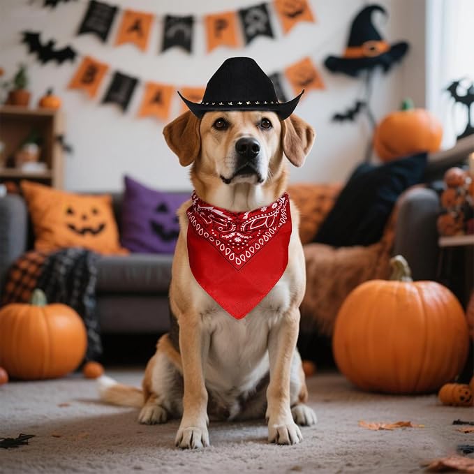choyaxo Halloween Costumes for Dogs Cat Pet Cowboy Costume Cowboy Hat - Image 5