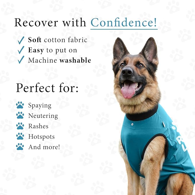 BellyGuard Dog Surgery Recovery Suit, Dog Onesie - Image 3