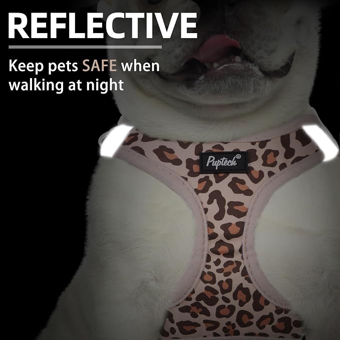 PUPTECK Dog Harness and Leash Set - Image 4
