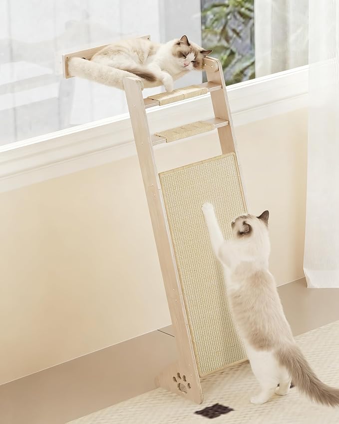 Cat Window Perch with Scratching Pad, Playing and Watching Bird by MeowHomm