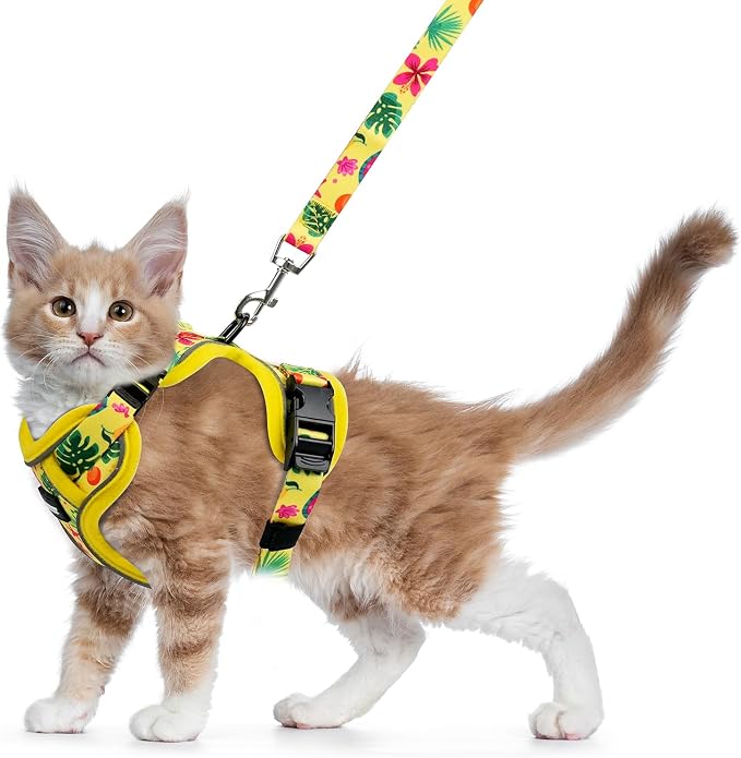Halypet Cat Harness and Leash Set by DOMoreWithYourPet