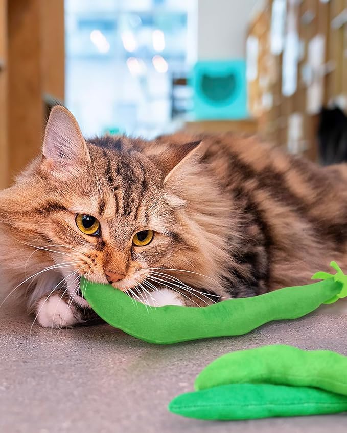 CiyvoLyeen Catnip Toy - Image 6