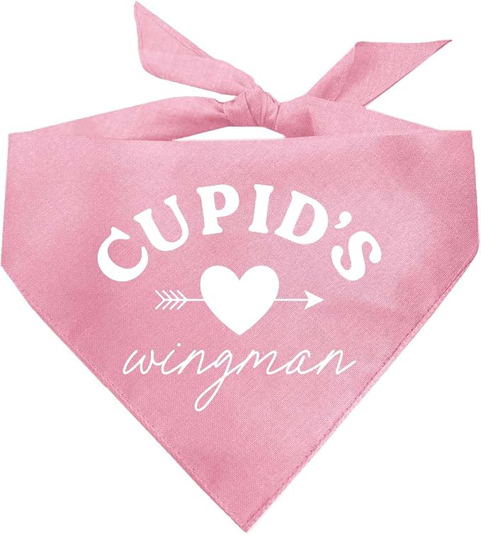 Cupid's Wingman Valentine's Day Dog Bandana by TeesTails