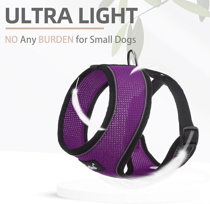 PUPTECK Soft Mesh Dog Harness and Leash Set Pet Puppy Cat Comfort Padded Vest - Image 5