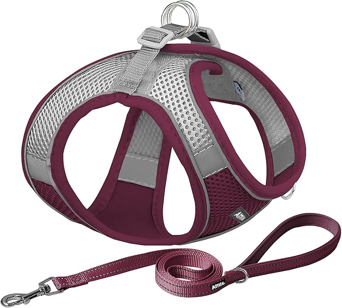 AIITLE Easy Walk Dog Harness and Leash Set by AIITLE-FORPETSBETTERLIFE