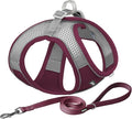 AIITLE Easy Walk Dog Harness and Leash Set by AIITLE-FORPETSBETTERLIFE