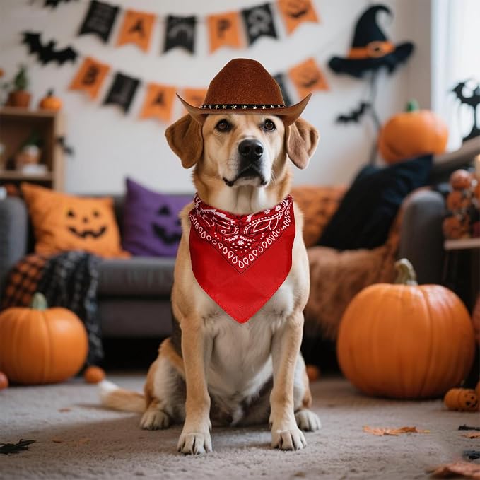 choyaxo Halloween Costumes for Dogs Cat Pet Cowboy Costume Cowboy Hat - Image 5