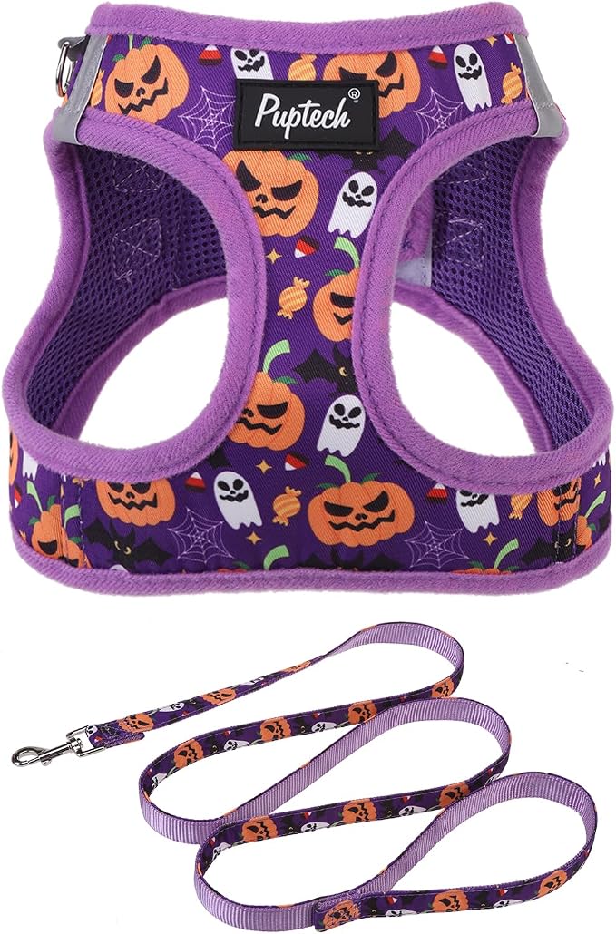 PUPTECK Dog Harness and Leash Set by PUPTECK