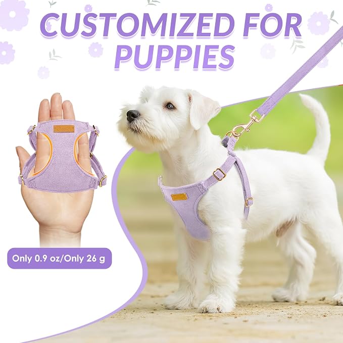 SlowTon Dog Harness Small Sized Dog - Image 2