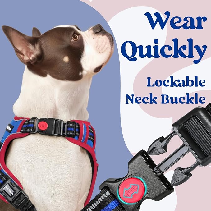 rabbitgoo Dog Harness Small Sized, No Pull Pet Harness - Image 2