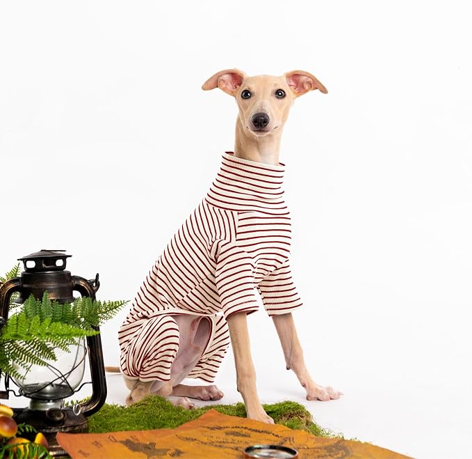 Dog Sweaters for Small Dogs Girls Boys, Striped Pet Sweaters for Fall Winter - Image 3