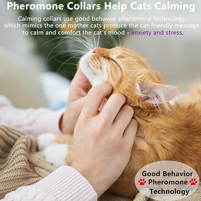 Wustentre 3 Pack Adjustable Anxiety Collar - Image 2