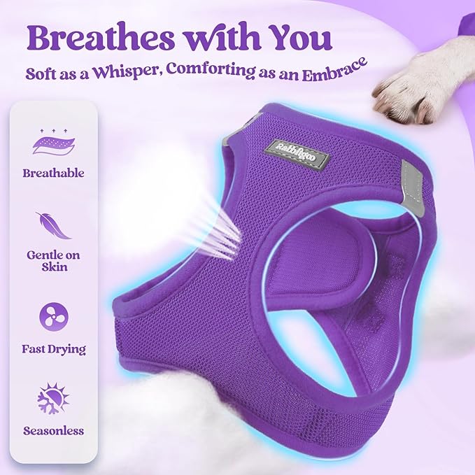 rabbitgoo Dog Harness Small Sized and Leash Set, Step in Soft Light Puppy Vest - Image 4