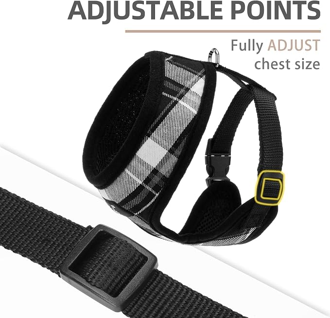 PUPTECK Soft Mesh Dog Harness and Leash Set Pet Puppy Cat Comfort Padded Vest - Image 3