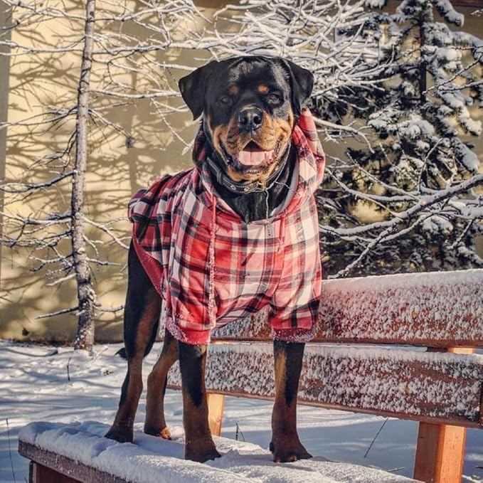 Spark Paws Dog Hoodie – Premium Dog Sweater - Image 3