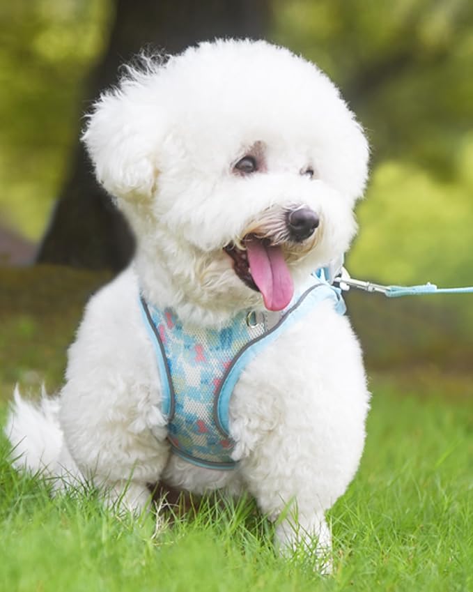Dog Harness for Small Medium Dogs No Pull, Cat Harness and Leash Set, Step in - Image 2