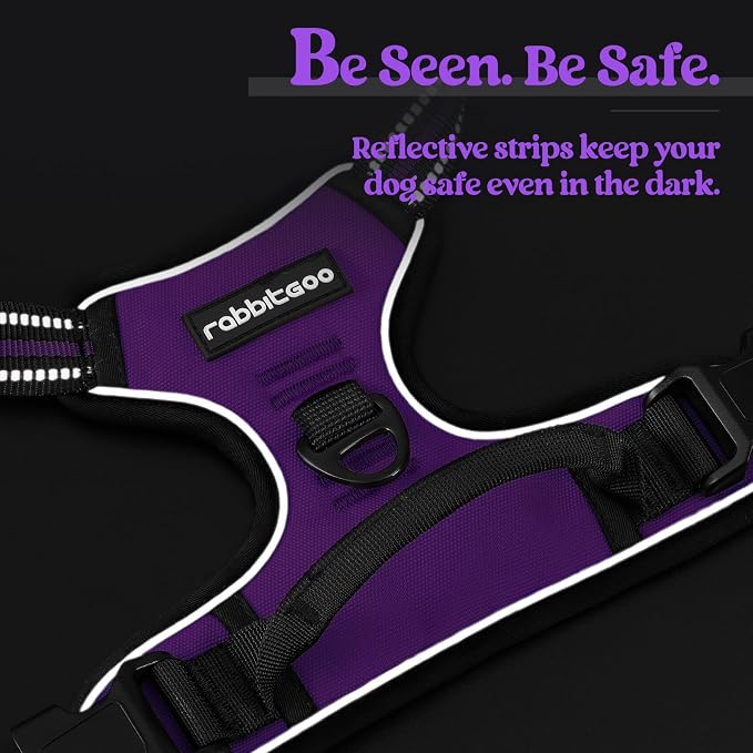 rabbitgoo Dog Harness No Pull - Image 7