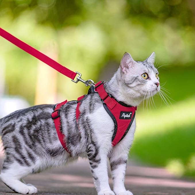 PUPTECK Cat Harness and Leash Set Escape Proof - Image 6