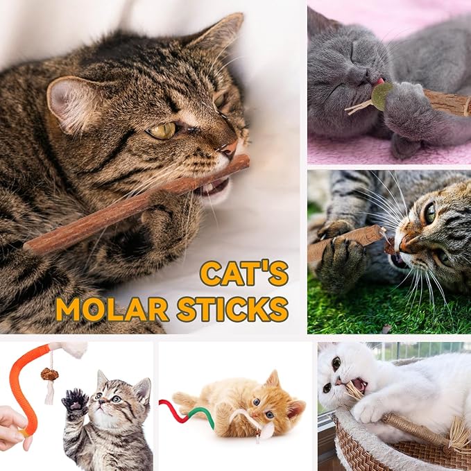 Kyouki Cat Toys Cat Chew Toys, Kitten Dental Care, Kitty - Image 2