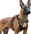 rabbitgoo Dog Harness for Large, No Pull Pet Harness by rabbitgoo