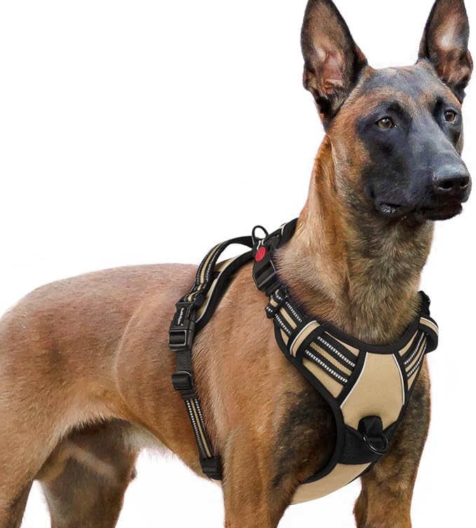 rabbitgoo Dog Harness for Large, No Pull Pet Harness by rabbitgoo