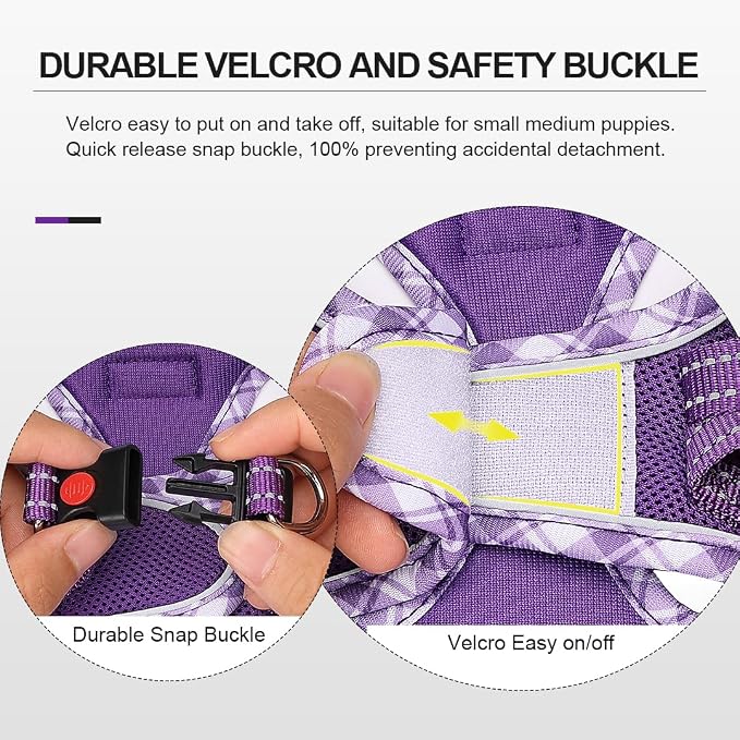 Mercano Soft Mesh Dog Harness and Leash Set, No-Chock Step-in Reflective - Image 4