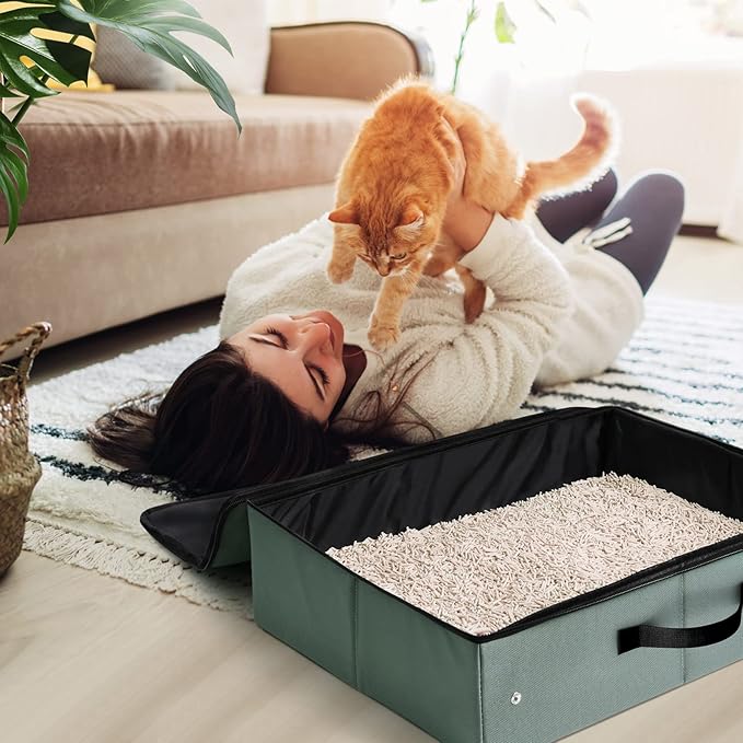 Portable Litter Box for Cats Kitten Foldable Travel Litter Box - Image 6