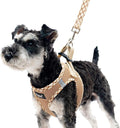 PUPTECK Dog Harness and Leash Set by PUPTECK