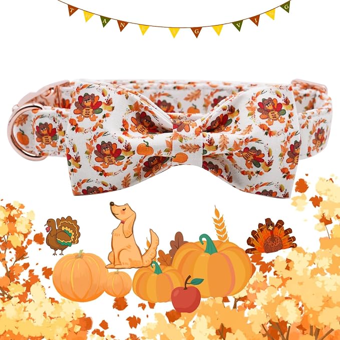 Dog Collar - Thanksgiving Turkey Pet Collar Bowtie Gift Puppy Cute Bow Collar - Image 3