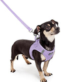 rabbitgoo Dog Harness Small Sized and Leash Set, Step in Soft Light Puppy Vest by rabbitgoo