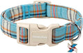 Lionet Paws Boy Dog Collar- Cute Blue Plaid Dog Collars by lionetpaws