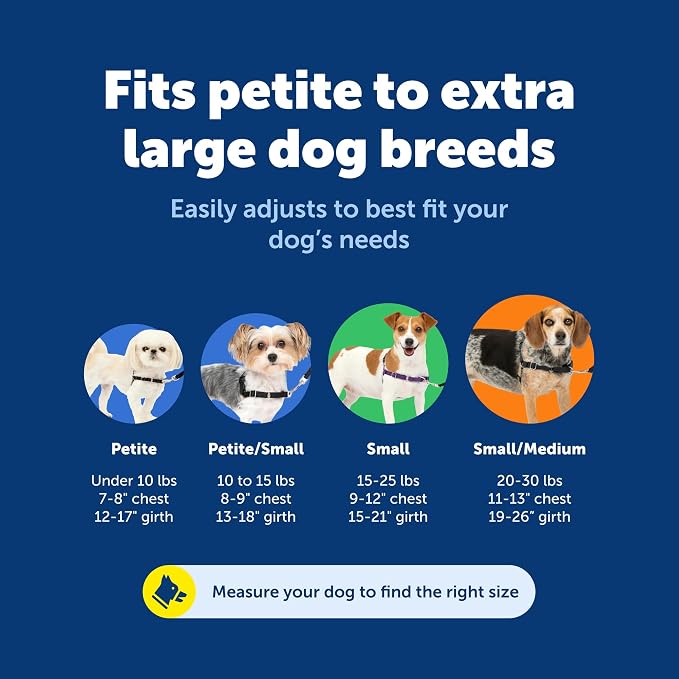 PetSafe Easy Walk Harness for Dogs - Image 5