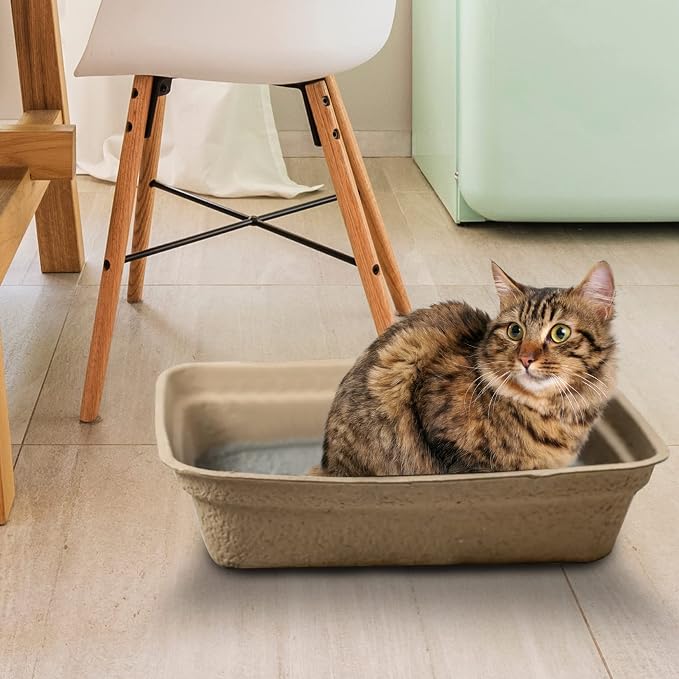 Disposable Litter Boxes - Image 6