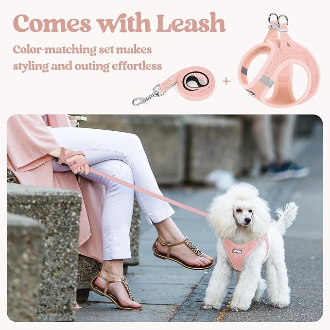 rabbitgoo Dog Harness Small Medium Sized and Leash Set, Step in Soft Light - Image 5