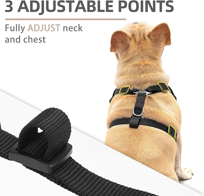 PUPTECK Small Dog Harness and Leash Set, No Pull Adjustable Puppy Cat Harness - Image 2
