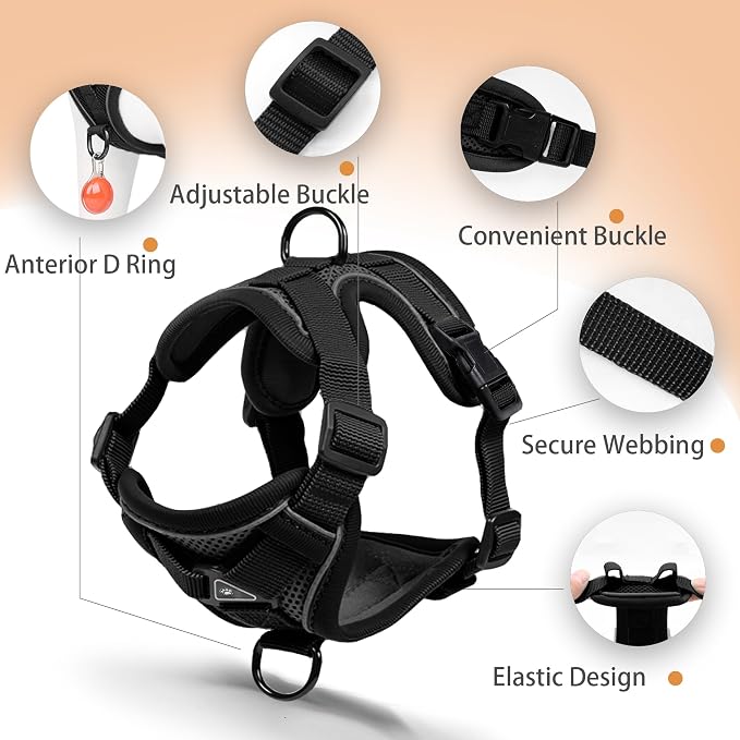 No Pull Dog Harness with Leash Set - Image 3