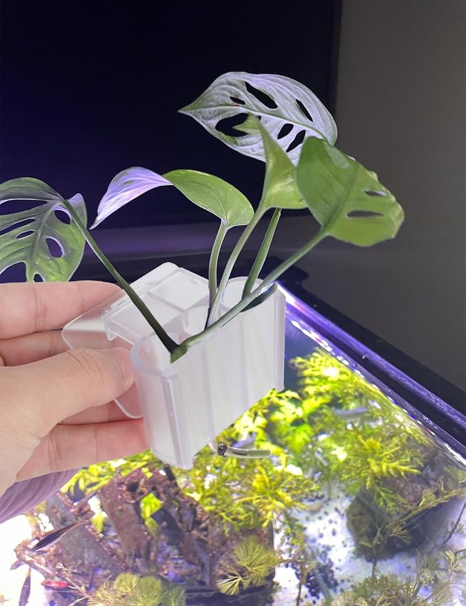2 Pk Upgraded Aquarium Plant Holder, 3-Hole Hanging Aquarium Plant Holder - Image 6
